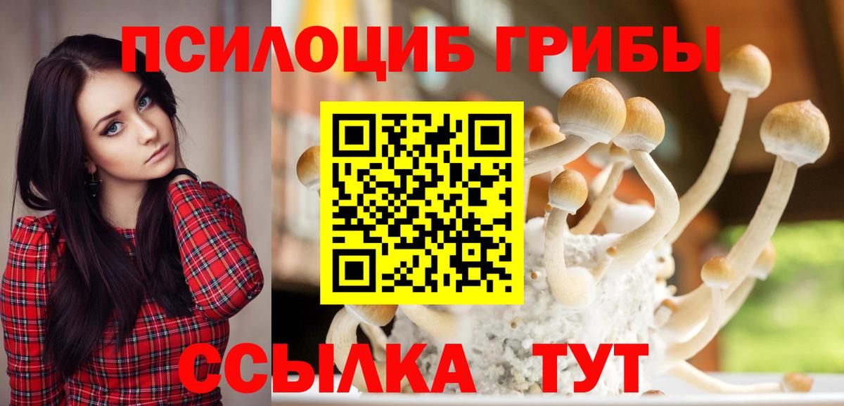 Псилоцибиновые грибы ЛСД  наркота  Вход с VPN  Снежинск  Галлюциногенные грибы MAGIC MUSHROOMS 